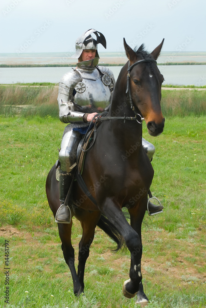 The knight The knight