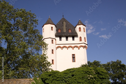Kurfürstliche Burg in Eltville am Rhein © Christian Colista
