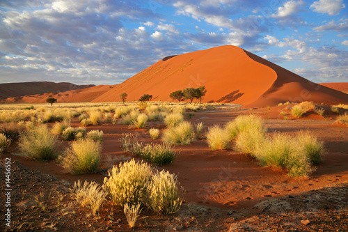 Desert landscape, Sossusvlei, Namibia, southern Africa photo
