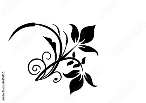Floral Design