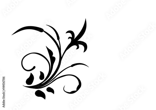 Floral Design