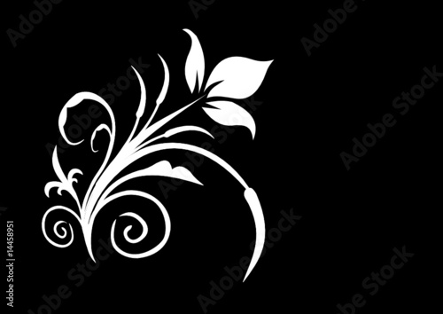 Floral & Tribal Design
