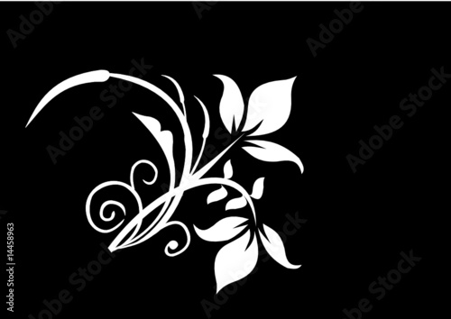 Floral & Tribal Design
