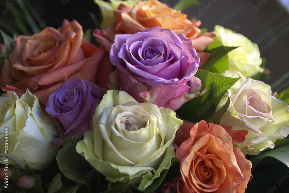 fiori fiori