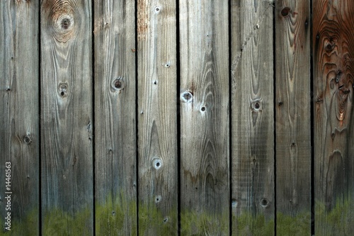 Fine texture of grunge old wood background