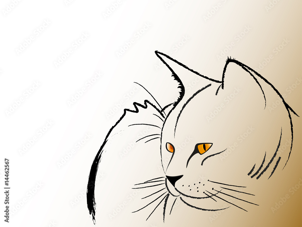 Obraz premium Wise cat