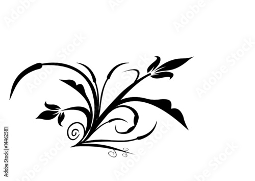 Blumen und Ornament als Entwurf