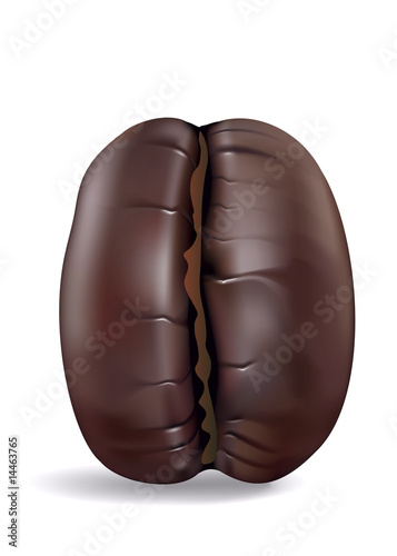 Coffe Bean