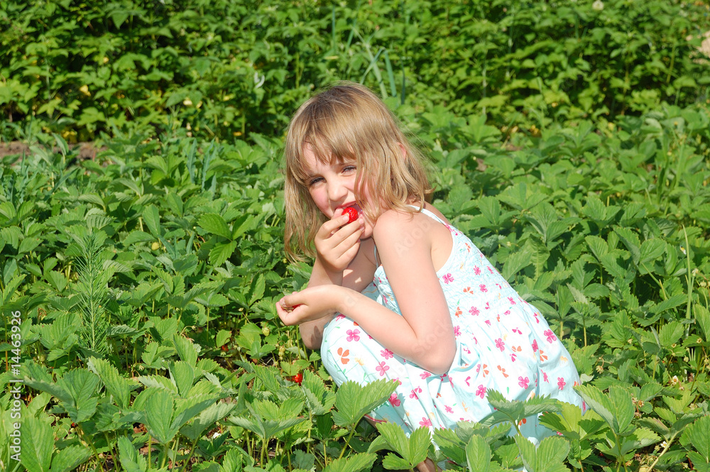 child in the strawberry field child in the strawberry field