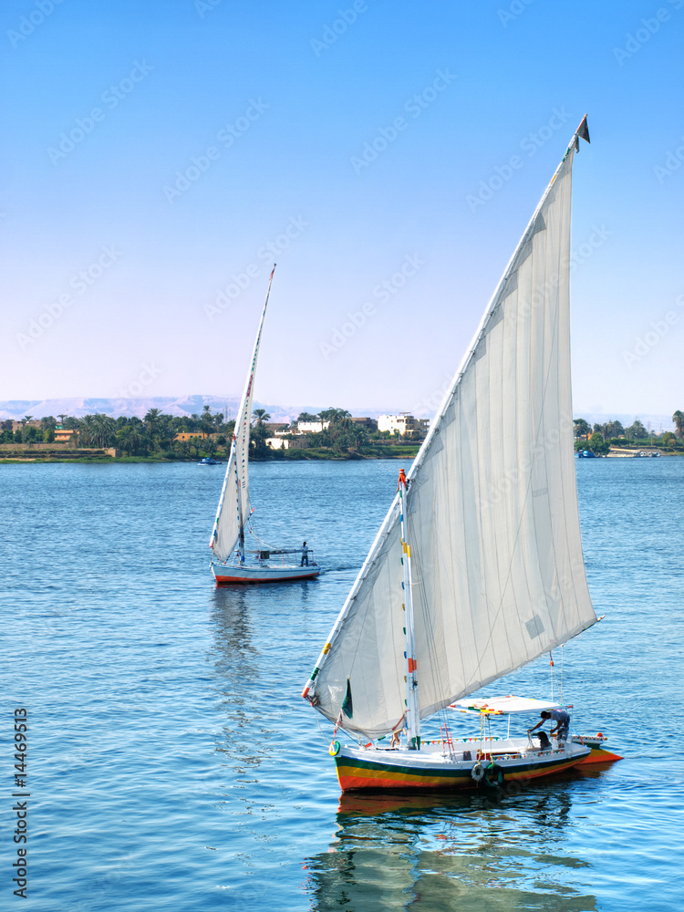 Obraz premium Images from Nile: Felukas sailing