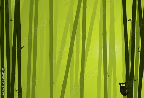 Bamboo Background. Nature Background Series.