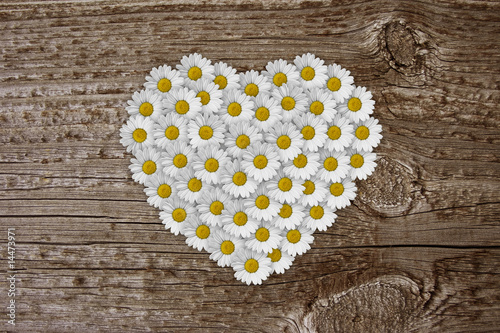 herz aus margeriten auf holz