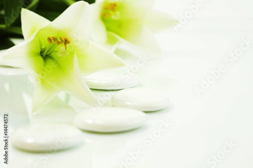 pebbles and flowers  SPA concept 