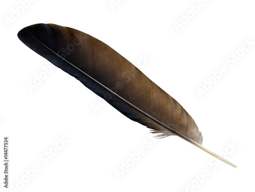 Feather with Clipping Path