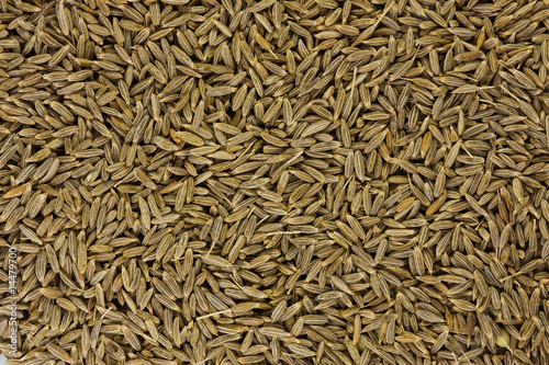 Seasoning grains, zira, kumin photo