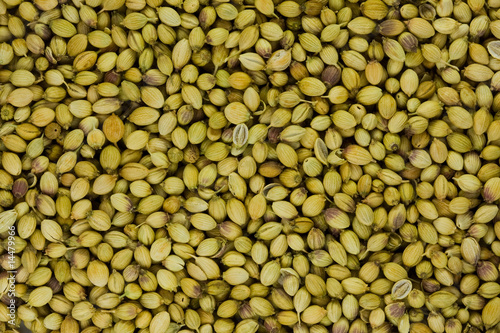 Grains of a coriander seasoning