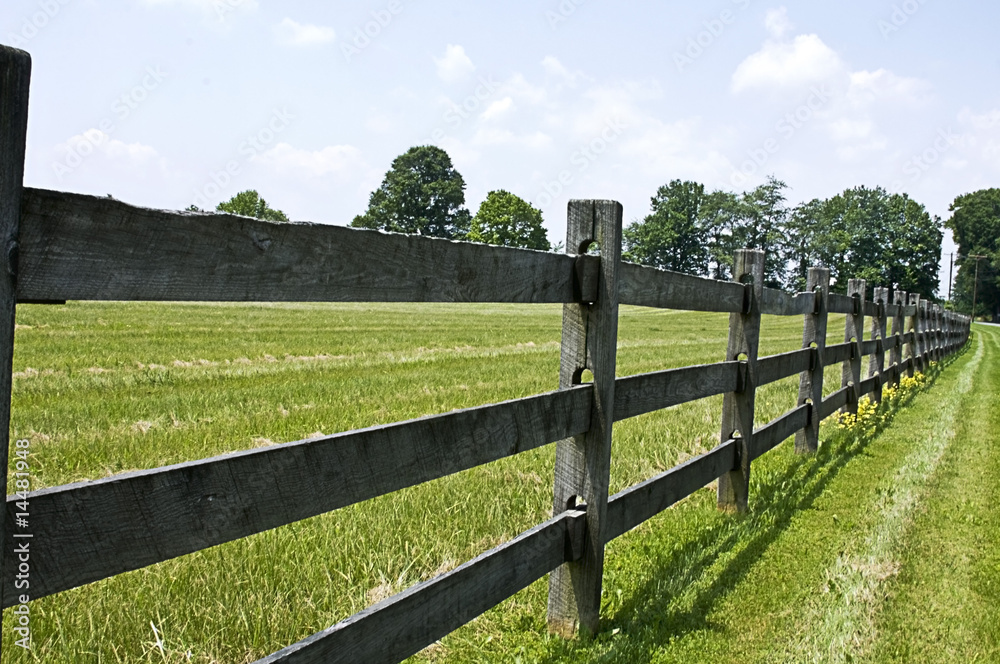 Split-Rail Fence