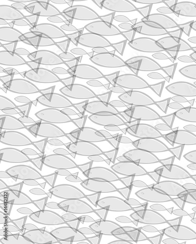 school of fish