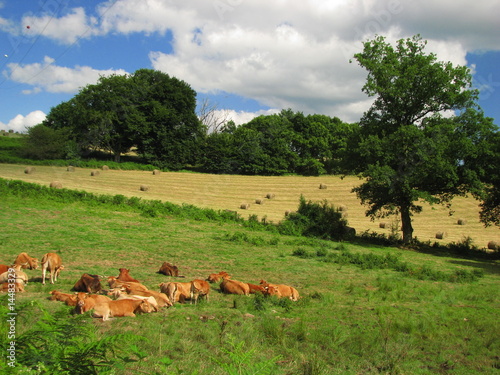 Vassivière en Limousin