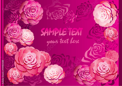 Beautiful roses over pink background