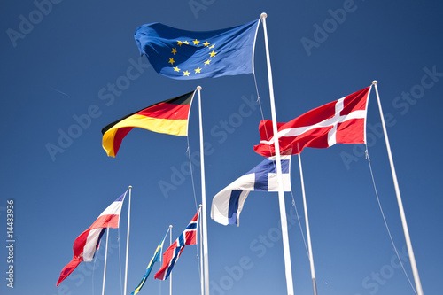flags photo