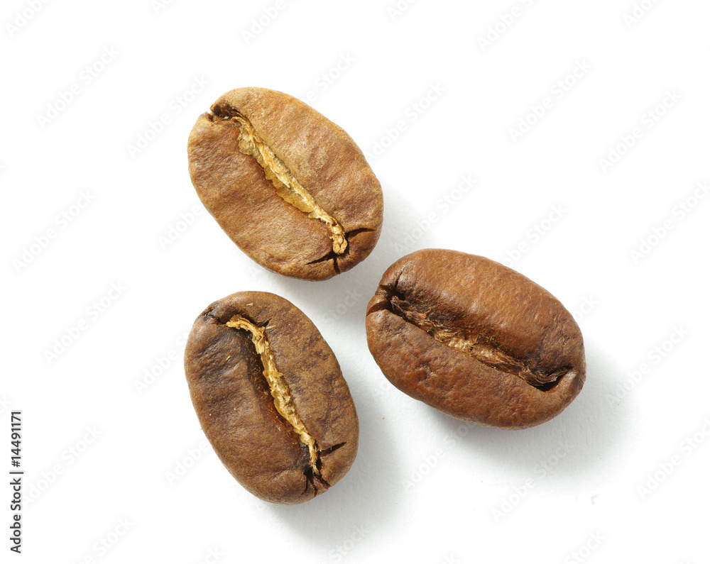 grains of coffee grains of coffee