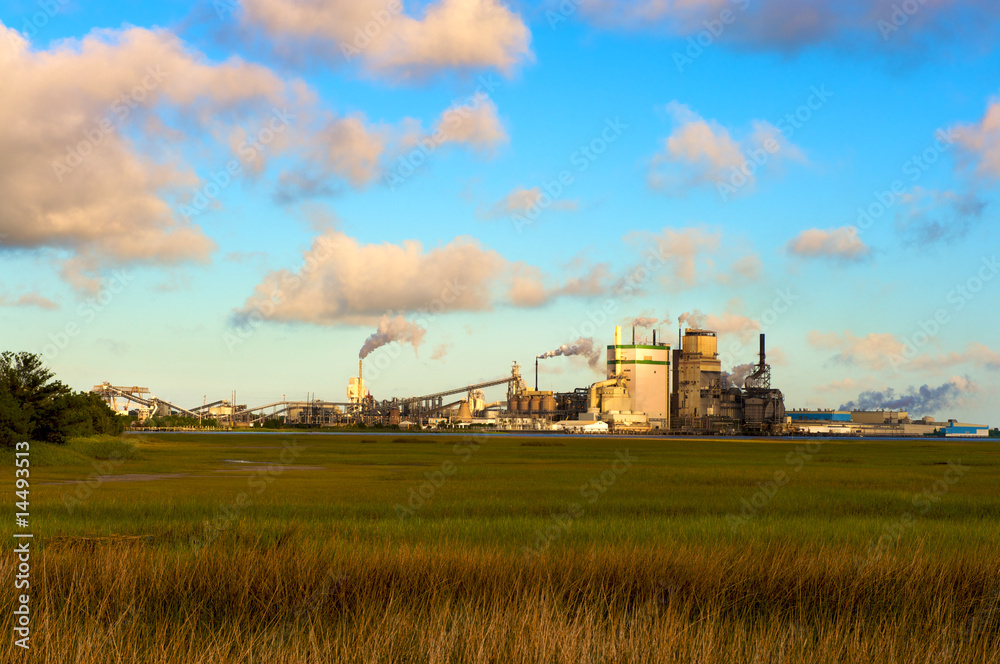 Fototapeta premium Paper Mill in a Salt Marsh