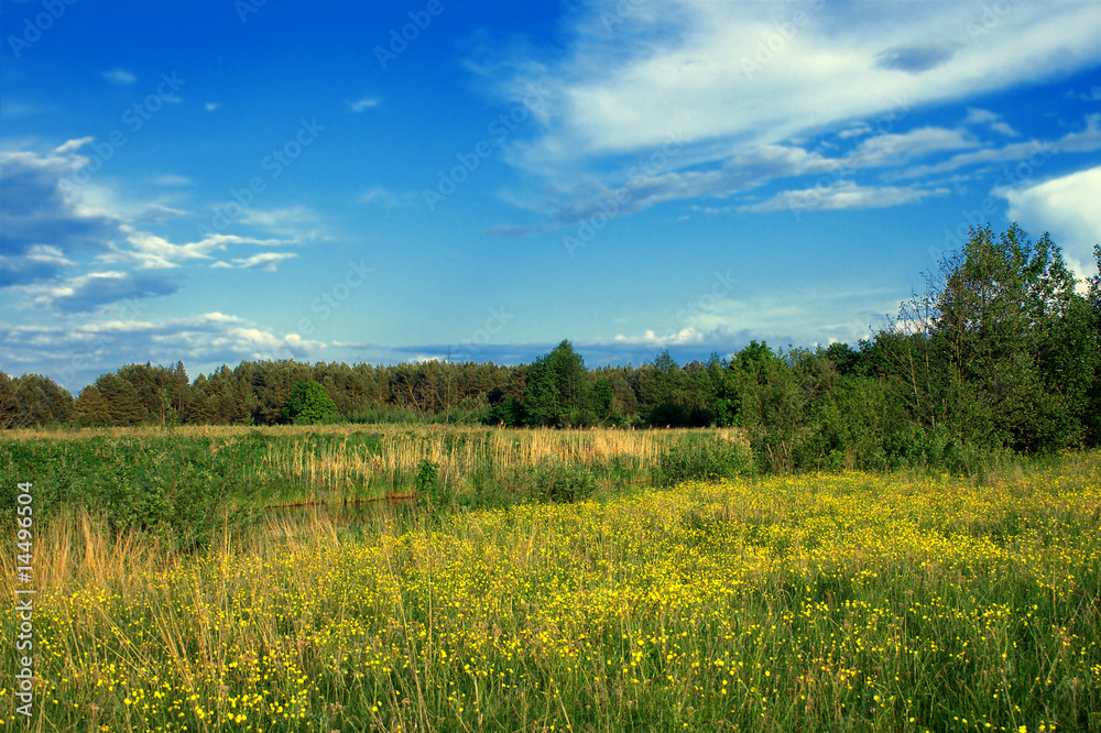 green field