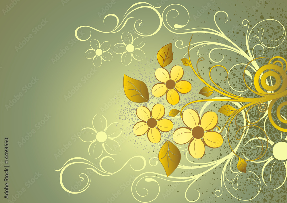 floral background for you designe