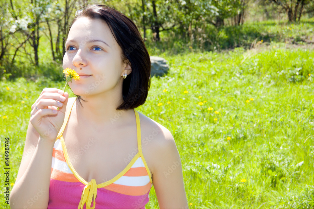 dandelion dandelion