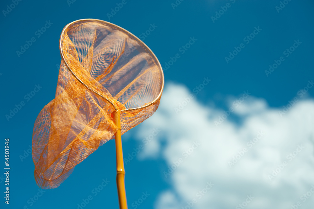 Obraz premium catching the butterflies