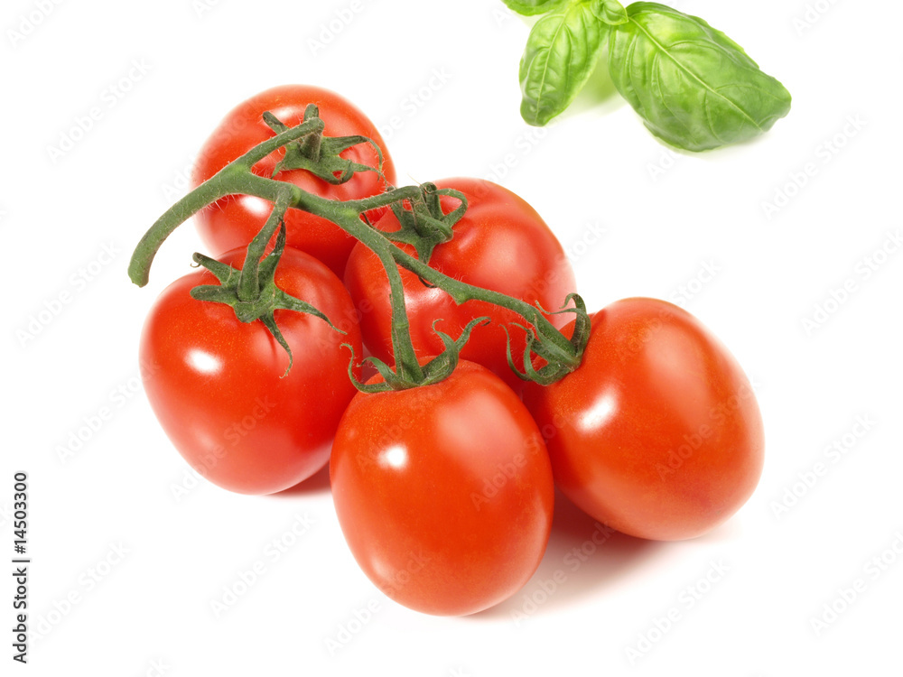 Flaschentomaten Flaschentomaten