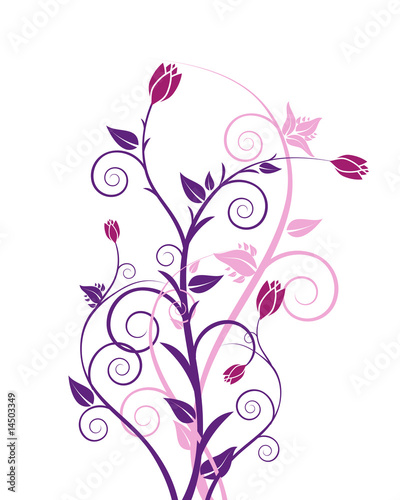 florale ranken
