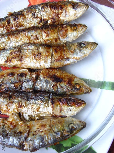 Sardinhas-Sardine-Pilchard-Fish-Sardina-Peixe-Sardinha
