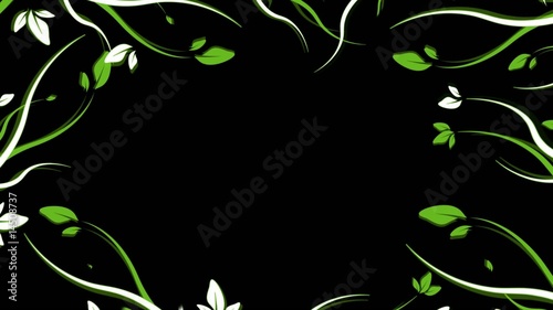 Animation fleurs fond noir
