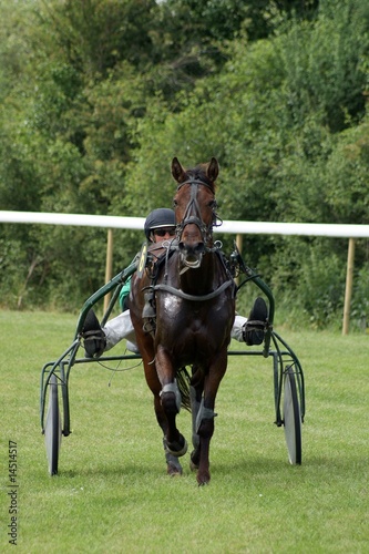 Course hippique #6 photo