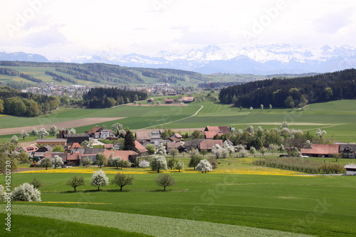 Frühling in der Schweiz photo