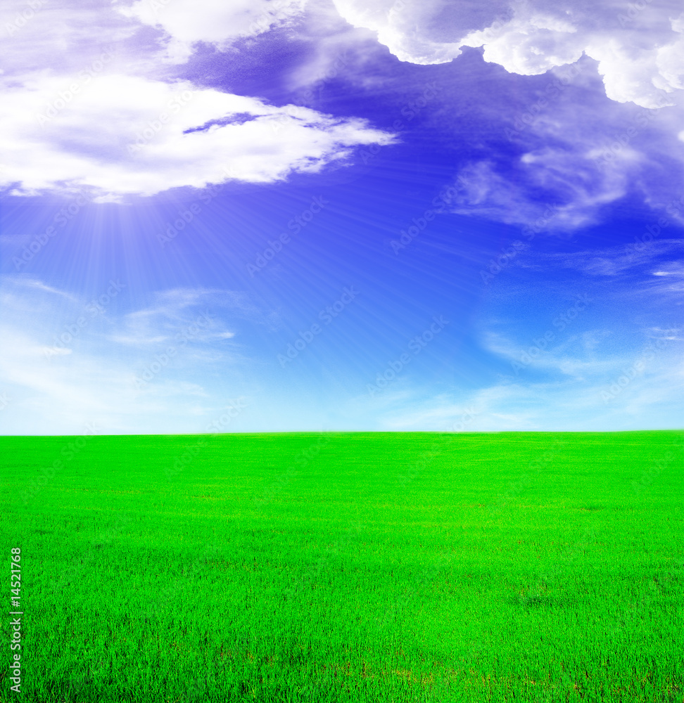 Summer landscape - blue sunny sky