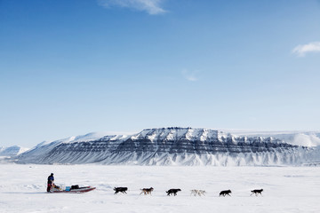 Papier peint photo Arctique Expédition en traîneau à chiens arctique  © Tyler Olson