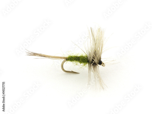 Obraz na płótnie Small trout fishing fly
