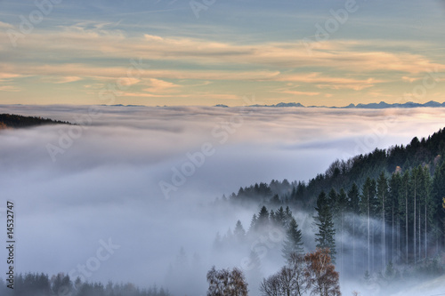 Nebelmeer Nebel Landschaft © Daniel Nimmervoll