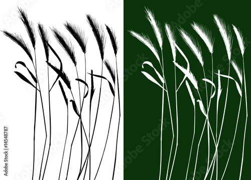 Set of vector grass silhouettes backgrounds for design use