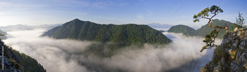 Fototapeta premium Sunrise at Sokolica in Pieniny, Poland.