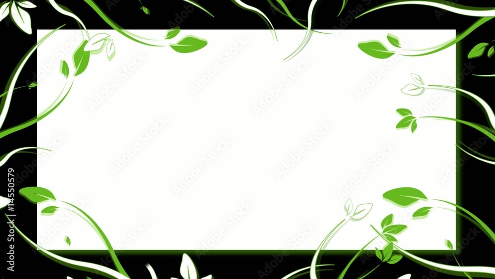 Animation cadre fleurs