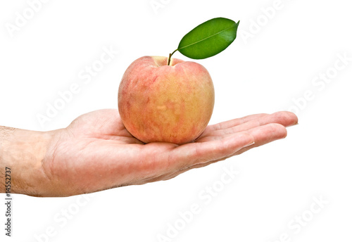 Peach in hand as a gift