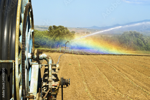 campo agricolo irrigato photo