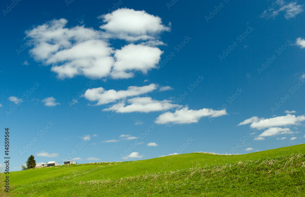 Beautiful Green Meadow with white cloud