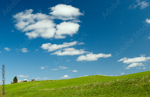 Beautiful Green Meadow with white cloud © Fanfo