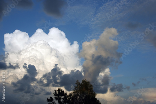 wide selection of clouds ranging from light to dark in florida s © Stephen Orsillo