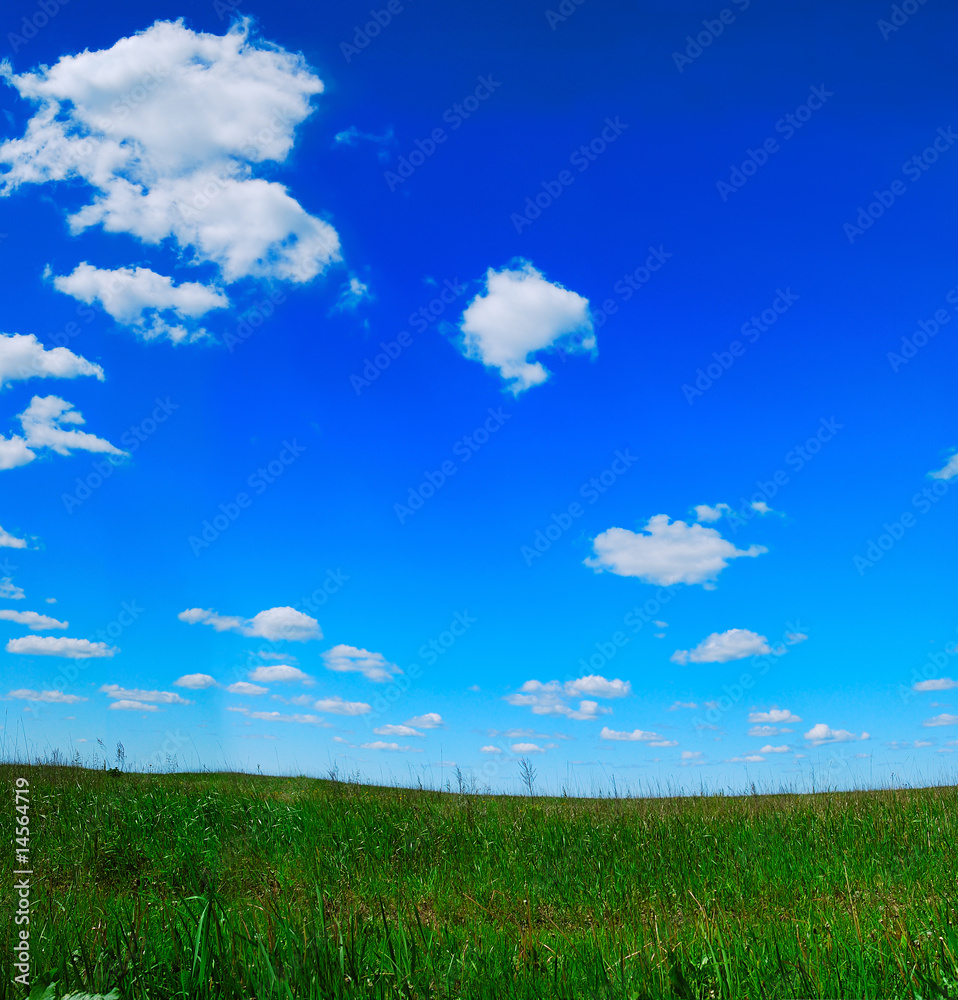 clouds and meadow